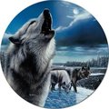 House 14 in. Wolf Night Sentries Round Metal Sign HO1123898